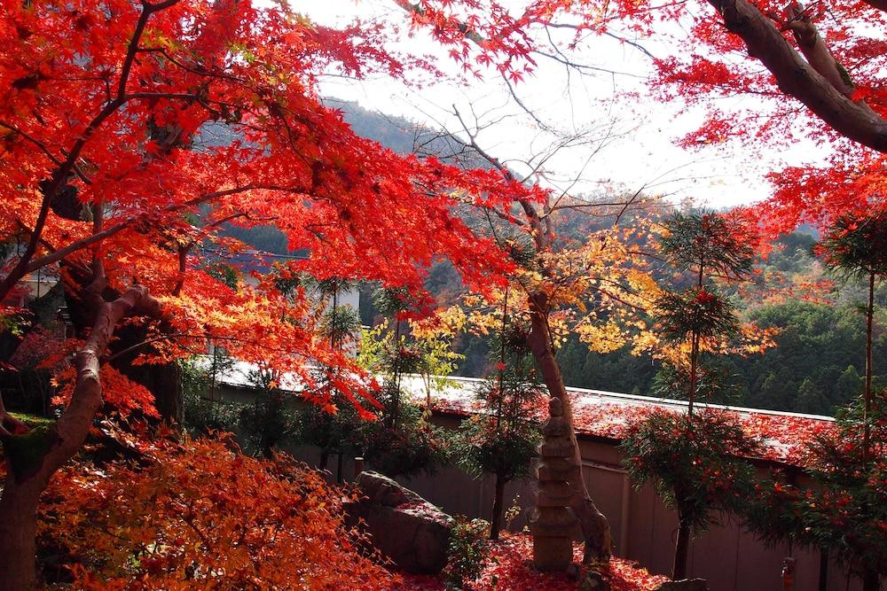 Ryokan Nenrinbo Hotel Kyoto Eksteriør billede