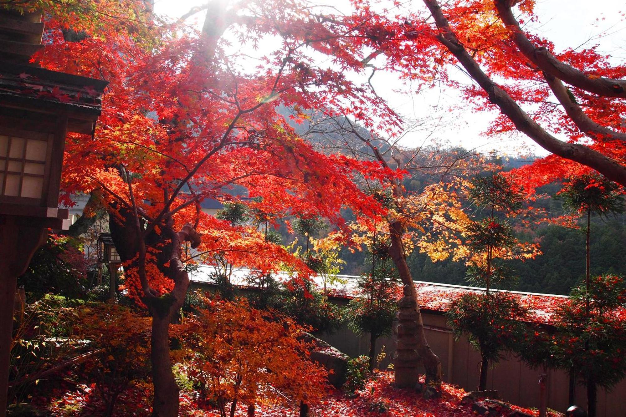 Ryokan Nenrinbo Hotel Kyoto Eksteriør billede